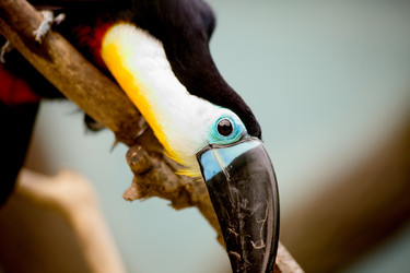 Similar image 5480988