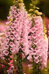 Similar image 5480990