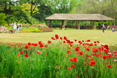 Similar image 5480992