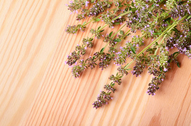 Similar image 5481023