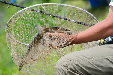 Similar image 5481025