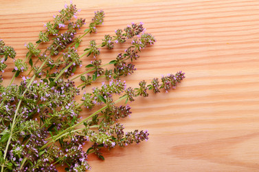 Similar image 5481030