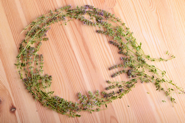 Similar image 5481033