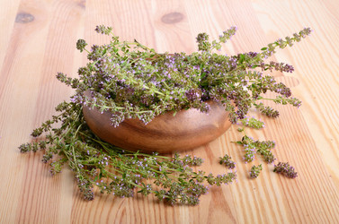 Similar image 5481034