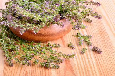 Similar image 5481037