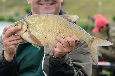 Similar image 5481039