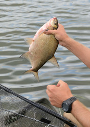 Similar image 5481040