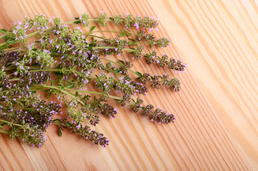 Similar image 5481045