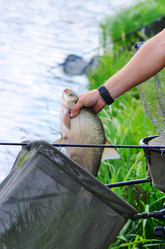 Similar image 5481048