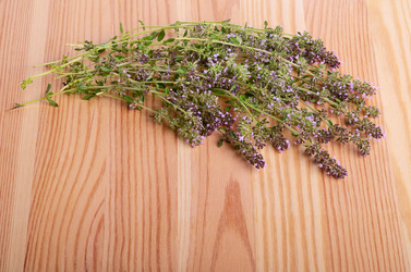 Similar image 5481049