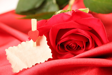 Similar image 5481113