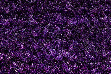 Similar image 5481338