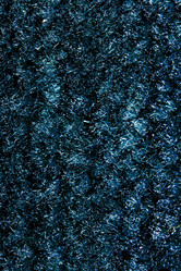 Similar image 5481339