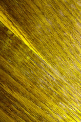 Similar image 5481353