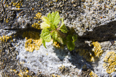 Similar image 5481518