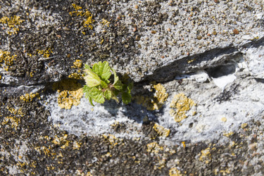 Similar image 5481521