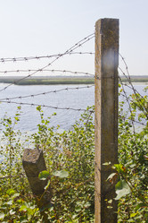 Similar image 5481522