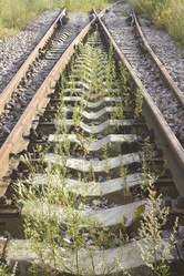 Similar image 5481523