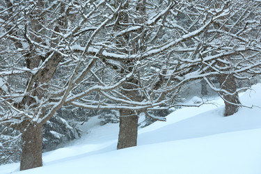 Similar image 5481527