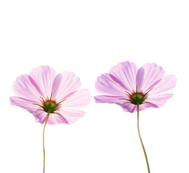 Similar image 5481537