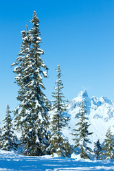 Similar image 5481560