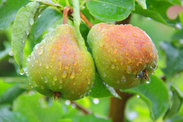 Similar image 5481572