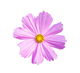 Similar image 5481573