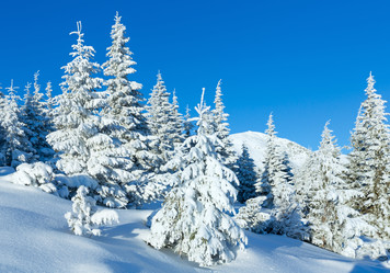 Similar image 5481577