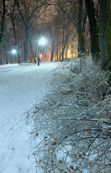 Similar image 5481644