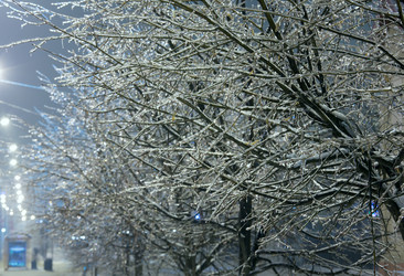 Similar image 5481647