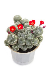 Similar image 5481661