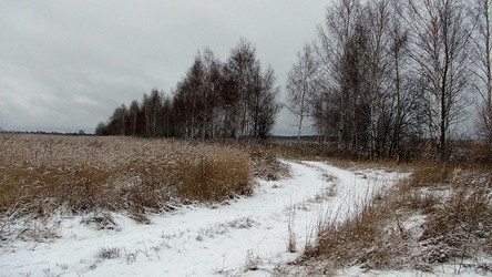 Similar image 5481732