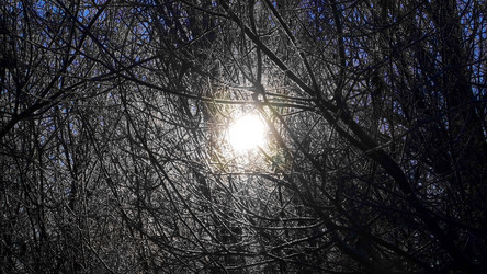 Similar image 5481734