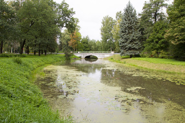 Similar image 5481783