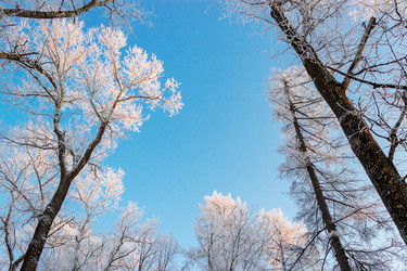 Similar image 5481817