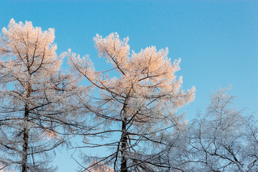 Similar image 5481818