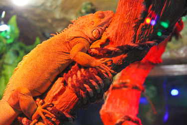 Similar image 5481819