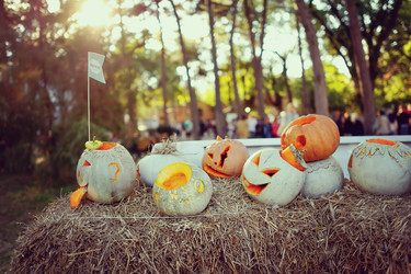 Similar image 5481833