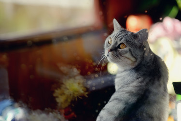 Similar image 5481835