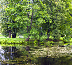 Similar image 5481838