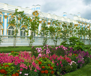 Similar image 5481840