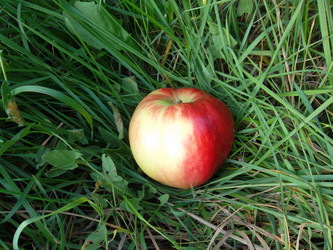 Similar image 5481844