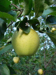 Similar image 5481846