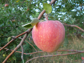 Similar image 5481847