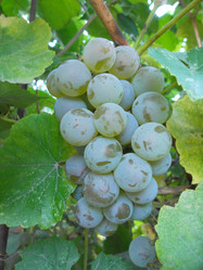 Similar image 5481850