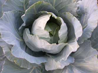 Similar image 5481851