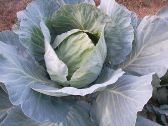 Similar image 5481852