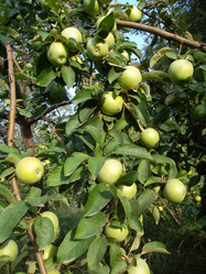 Similar image 5481854