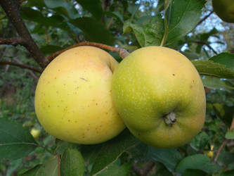 Similar image 5481855