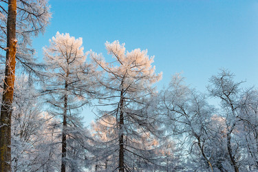 Similar image 5481868